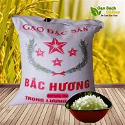 Báo Giá Gạo Bắc Hương