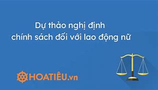 Chính Sách Đối Với Lao Động Nữ Theo Quy Định