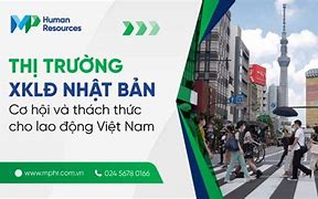 Cty Xklđ Abs Việt Nam 2024 Mới Nhất Việt Nam Pdf