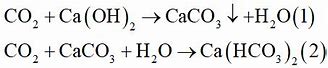 Dẫn Từ Từ Co2 Vào Nước Vôi Trong Cho Đến Dư Hiện Tượng Xảy Ra Là *