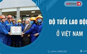 Độ Tuổi Hết Tuổi Lao Động