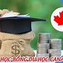 Du Học Trung Học Ở Canada Cần Những Gì 2024 Mới Nhất