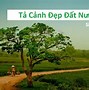 Kể Lại Một Chuyến Đi Vũng Tàu Đáng Nhớ