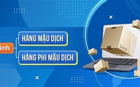 Nhập Khẩu Mậu Dịch Và Phi Mậu Dịch