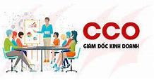 Trợ Lý Giám Đốc Kinh Doanh Tiếng Anh Là Gì